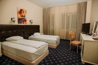 Отель Hotel Coandi Арад Двухместный номер с 2 отдельными кроватями-3