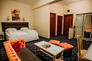 Отель Hotel Coandi Арад Улучшенный двухместный номер с 1 кроватью-3